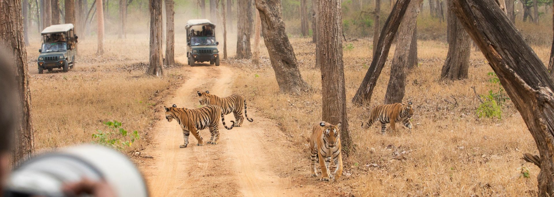 Mesmerizing Western Ghats of South India