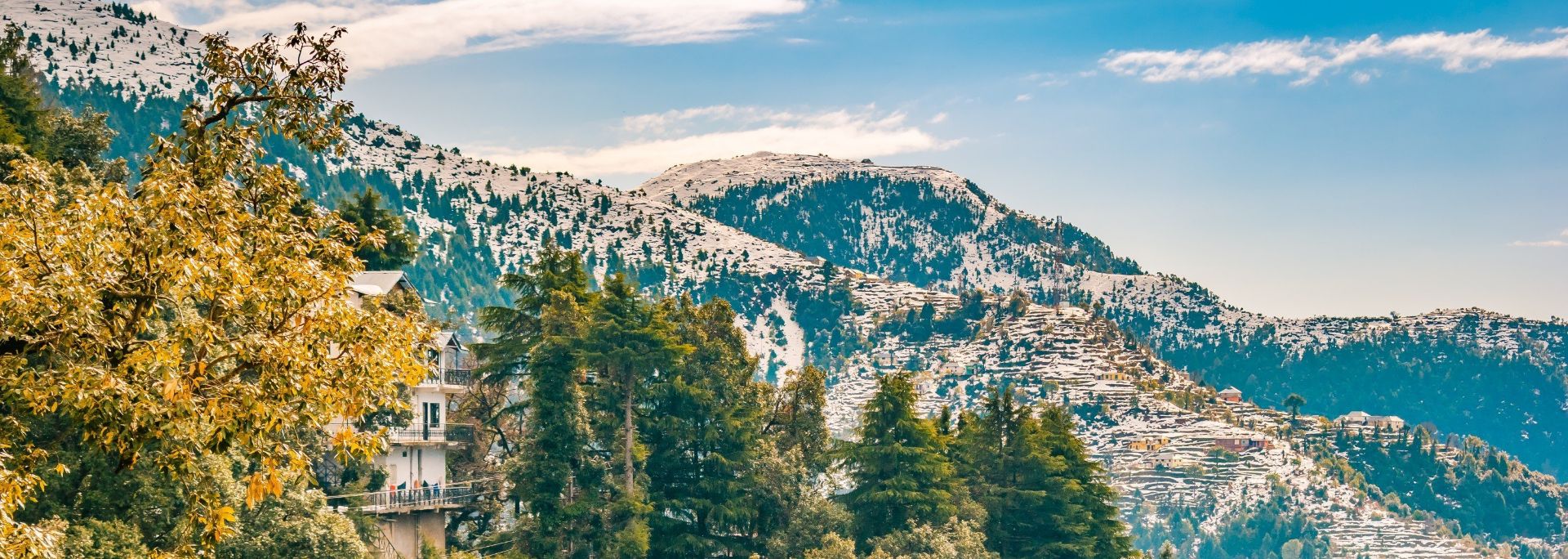 Himalayan Splendor