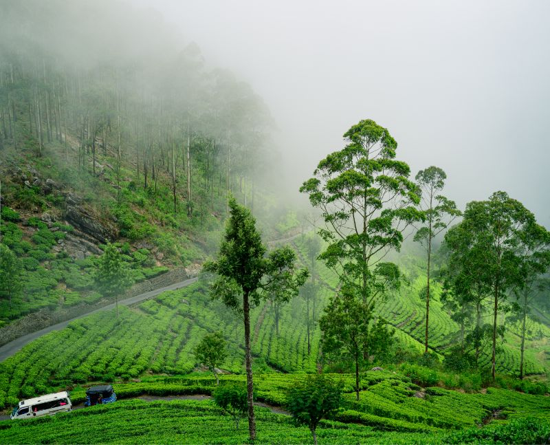 Exotic Kerala