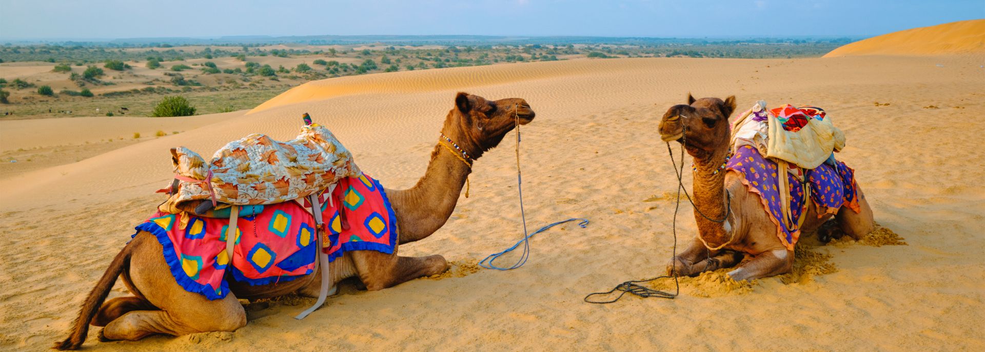 Forts & Palaces of Rajasthan Tour