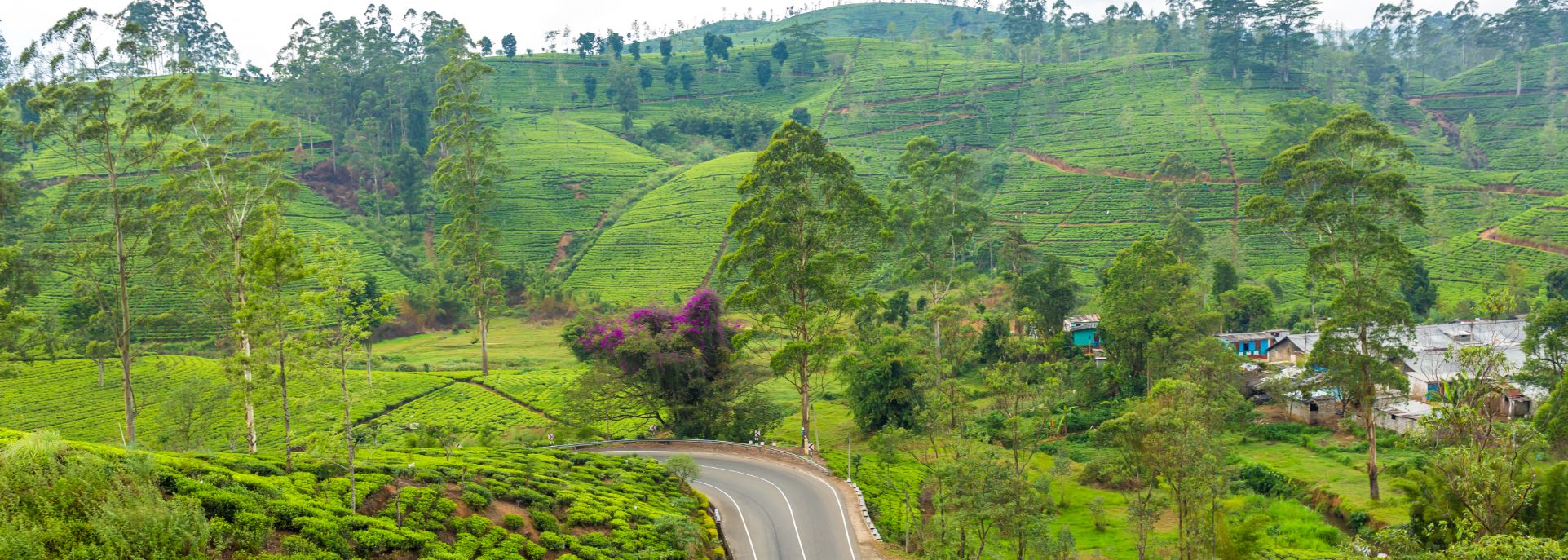 Great view karnataka