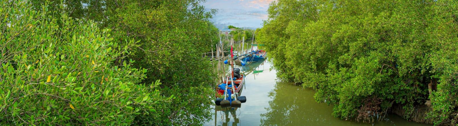 SOUTHERN OF VIETNAM & SIEMREAP